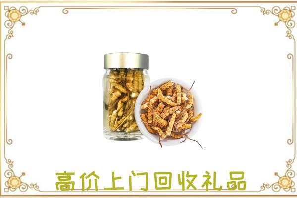 随州市周边回收虫草